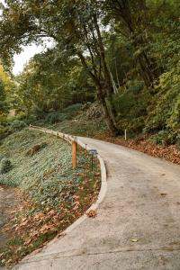 Sweet Lil Casita Puget Sound Hideaway