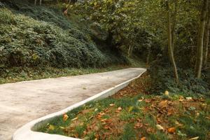 Sweet Lil Casita Puget Sound Hideaway