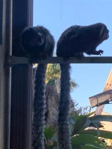 Suíte Teahupoo - Pousada Reserva de Itauna