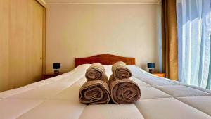 Escapada al Atardecer en Viña