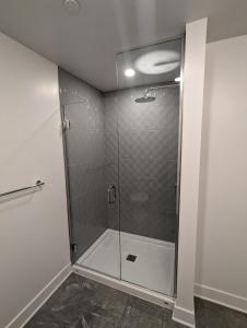Modern Condo in Ottawa Downtown