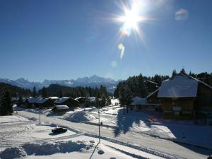 Appartement skis aux pieds 6 pers, Le Praz de Lys - FR-1-815-11