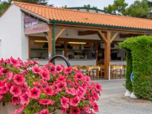 Mobil-home Adapté PMR avec Terrasse à Notre-Dame-de-Monts - API-1-52-664