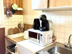 Studio Montagne aux Claux, 4 couchages, proche pistes & commerces - FR-1-330B-226