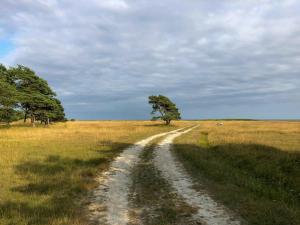 Limestone Barn For Families In Southern Gotland
