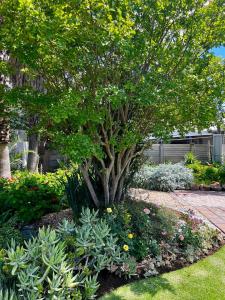 Pepper Tree Guesthouse