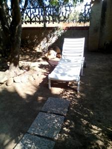 B&B Il Vigneto img31