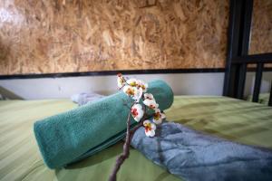 Gina hostel kohlanta