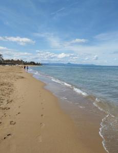 Sofia El Palmar Apartmán