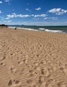 Sofia El Palmar Apartmán