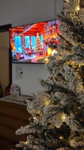 Apartament Buon Gusto Sibiu-near Small Square and Lying Bridge