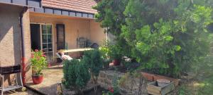 Residenz Dabo Panorama in den Vogesen, 5 Zimmer, modern und großzügig, 2 Balkons, Terrasse, Garten