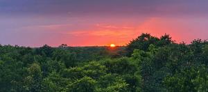 La Casa de María 11:11