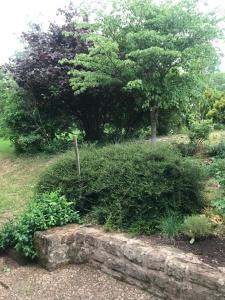 Residenz Dabo Panorama in den Vogesen, 5 Zimmer, modern und großzügig, 2 Balkons, Terrasse, Garten