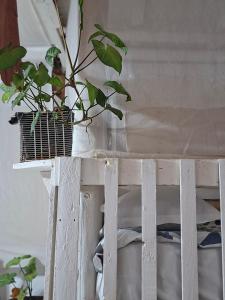 Elmadel Coffee Gardens 4Bed Rustic Wooden House