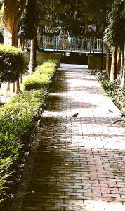 Titus Sunset Terrace Hideaway