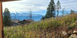 StrohGlück Rigi - traumhafte nachhaltige Ferienwohnungen mit toller Aussicht