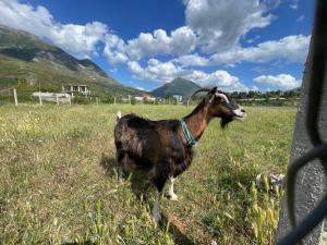 PANORAMIC VIEW Xhanari Guesthouse Tepelene