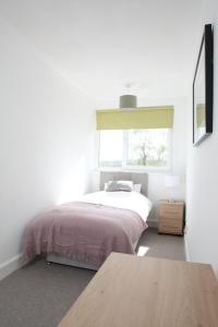 Southside Apartment Glasgow