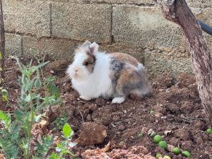 PANORAMIC VIEW Xhanari Guesthouse Tepelene