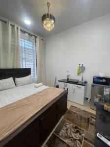 Studio Apartment, Sinza