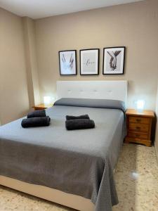 Acogedor apartamento, tranquilo y luminoso