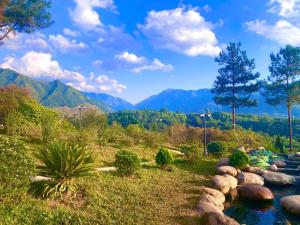 Than Uyên Pineforest Homestay