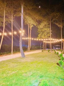 Than Uyên Pineforest Homestay