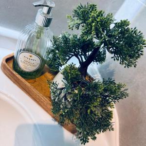 Studio 9 Żeromskiego