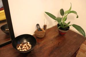 Instituto Via Amazônia Morada Encantada- portal Zona Verde