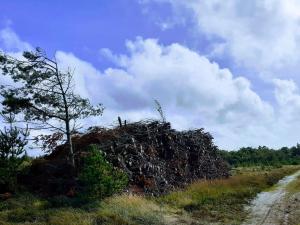 4 person holiday home in Oksbøl-By Traum