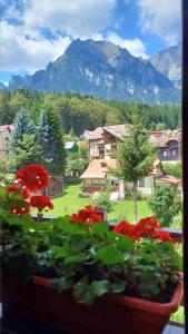 Casa Montana Busteni