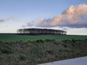 Met een knipoog naar de fruitstreek!