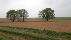 Met een knipoog naar de fruitstreek!