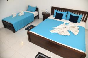 freedom safari home stay