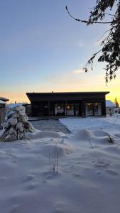 Arctic Giantlog Villa