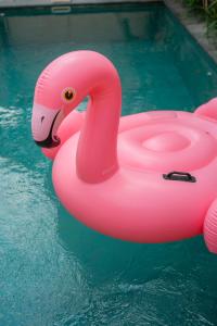 Villa Leya & Leon Canggu - By Bali Lyfe Venture