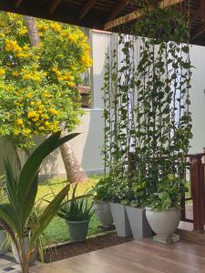 Sithuka Villa Bentota