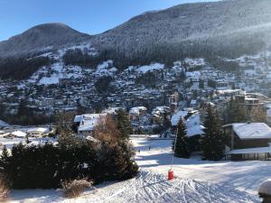 DUPLEX DANS CHALET Résidence Privée