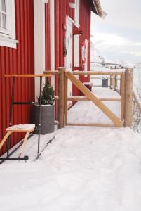 Exclusive Fishermans cabin in Reine