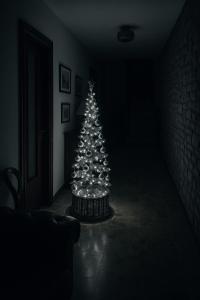 Residenza Il Castello