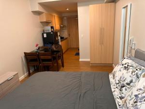 Solinea Residences Platine Tower4 Ayala Business Center Cebu ph