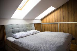 Apartment - Golden Fox 18 - Pohorske terase