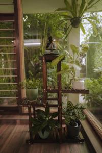 Garden villa