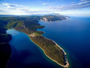 Apartments Alenka by the sea