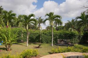 Cozy 1-BR Garden Cottage near Diani Beach