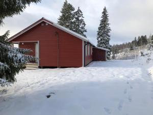 Nyrestaurert og koselig hytte ved Skjelbredvatnet.