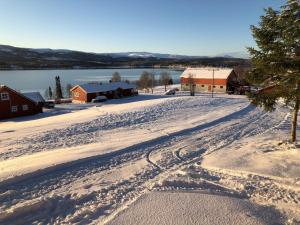 Nyrestaurert og koselig hytte ved Skjelbredvatnet.