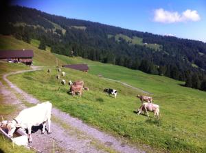 UNSER VORSÄSS - Klausberg