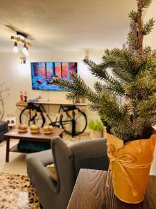 Airport Cottage House